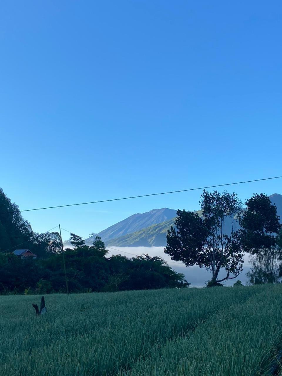Pondok Bali Volcano Kubupenlokan Dış mekan fotoğraf